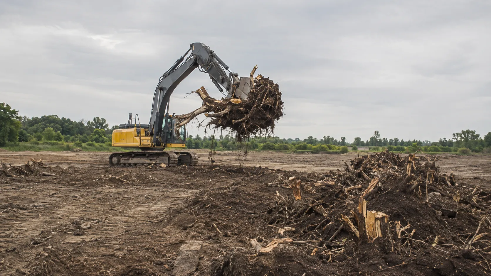 Grubbing and Root Removal, completed by Harrowgate Group