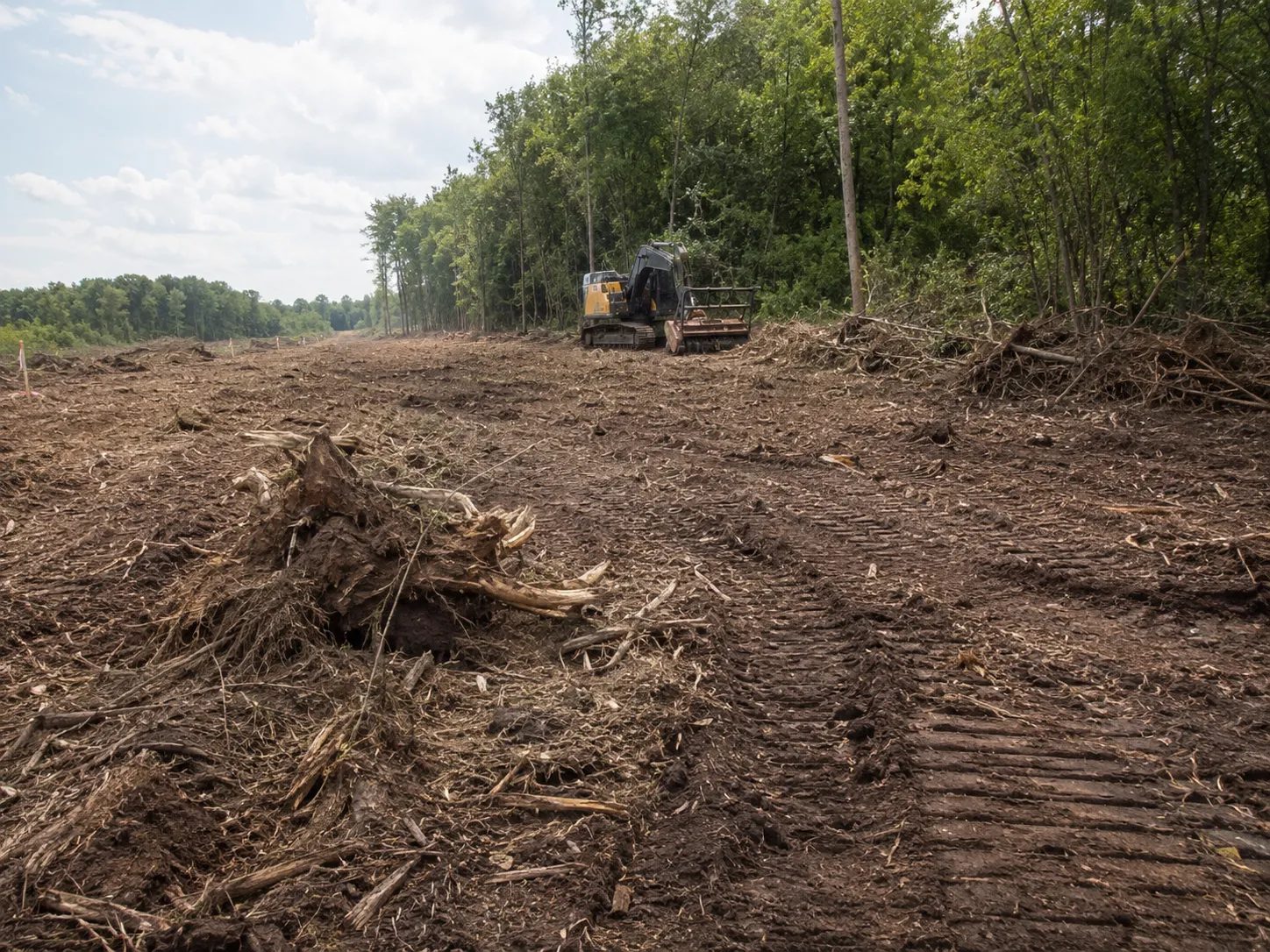 Clearing failures that damage the project by Harrowgate Group